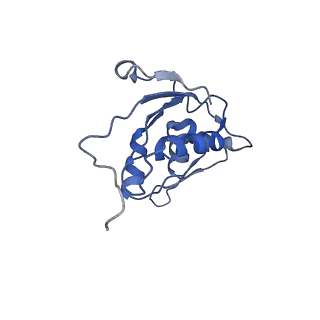 25411_7sso_j_v1-0
Pre translocation 70S ribosome with A/A and P/E tRNA (Structure II-A)