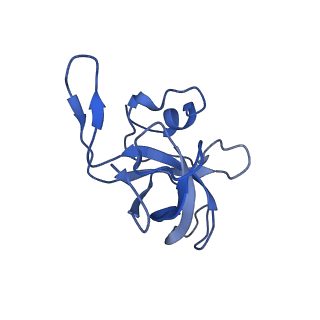 25411_7sso_k_v1-0
Pre translocation 70S ribosome with A/A and P/E tRNA (Structure II-A)