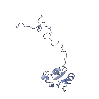 25411_7sso_l_v1-0
Pre translocation 70S ribosome with A/A and P/E tRNA (Structure II-A)