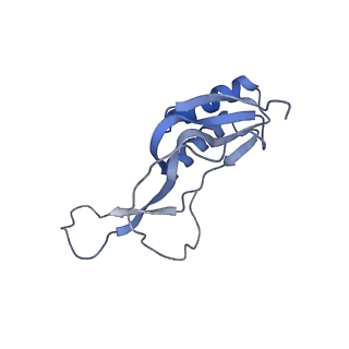 25411_7sso_m_v1-0
Pre translocation 70S ribosome with A/A and P/E tRNA (Structure II-A)