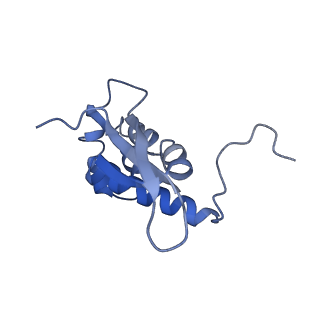 25411_7sso_n_v1-0
Pre translocation 70S ribosome with A/A and P/E tRNA (Structure II-A)