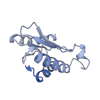 25411_7sso_o_v1-0
Pre translocation 70S ribosome with A/A and P/E tRNA (Structure II-A)
