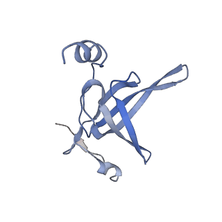 25411_7sso_p_v1-0
Pre translocation 70S ribosome with A/A and P/E tRNA (Structure II-A)