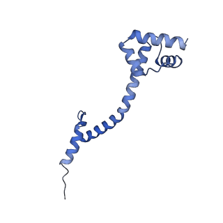 25411_7sso_q_v1-0
Pre translocation 70S ribosome with A/A and P/E tRNA (Structure II-A)