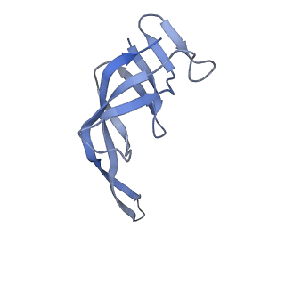 25411_7sso_r_v1-0
Pre translocation 70S ribosome with A/A and P/E tRNA (Structure II-A)
