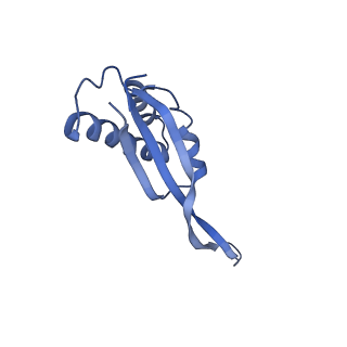 25411_7sso_s_v1-0
Pre translocation 70S ribosome with A/A and P/E tRNA (Structure II-A)
