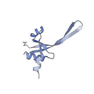 25411_7sso_t_v1-0
Pre translocation 70S ribosome with A/A and P/E tRNA (Structure II-A)