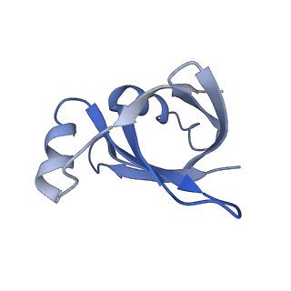 25411_7sso_v_v1-0
Pre translocation 70S ribosome with A/A and P/E tRNA (Structure II-A)