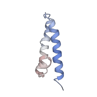 25411_7sso_y_v1-0
Pre translocation 70S ribosome with A/A and P/E tRNA (Structure II-A)