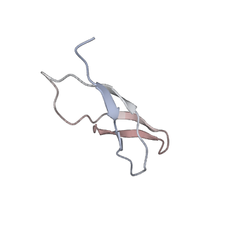 25415_7ssw_C_v1-0
Late translocation intermediate with EF-G dissociated (Structure VI)