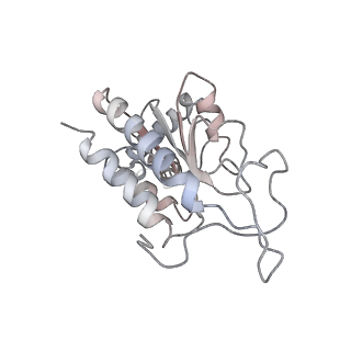 25415_7ssw_G_v1-0
Late translocation intermediate with EF-G dissociated (Structure VI)