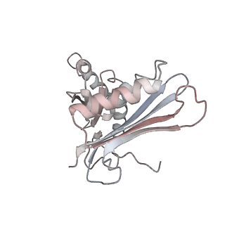 25415_7ssw_H_v1-0
Late translocation intermediate with EF-G dissociated (Structure VI)