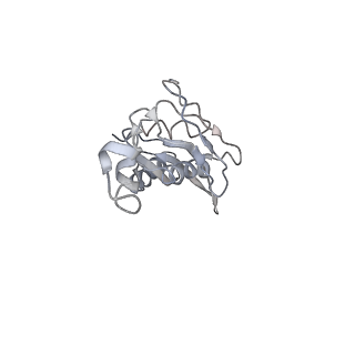 25415_7ssw_J_v1-0
Late translocation intermediate with EF-G dissociated (Structure VI)