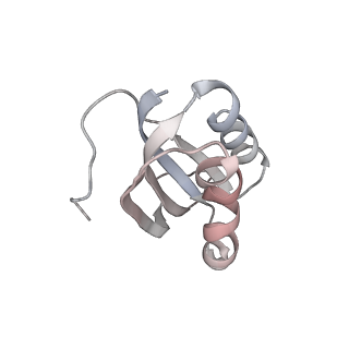 25415_7ssw_K_v1-0
Late translocation intermediate with EF-G dissociated (Structure VI)