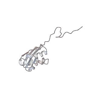 25415_7ssw_N_v1-0
Late translocation intermediate with EF-G dissociated (Structure VI)