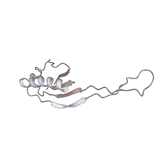 25415_7ssw_O_v1-0
Late translocation intermediate with EF-G dissociated (Structure VI)