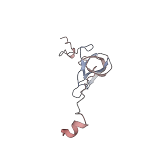 25415_7ssw_Q_v1-0
Late translocation intermediate with EF-G dissociated (Structure VI)
