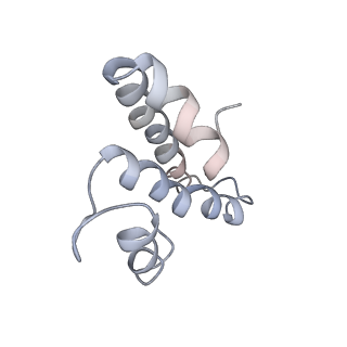 25415_7ssw_T_v1-0
Late translocation intermediate with EF-G dissociated (Structure VI)
