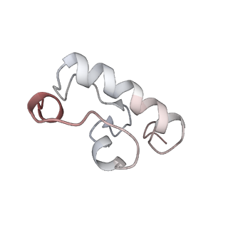 25415_7ssw_W_v1-0
Late translocation intermediate with EF-G dissociated (Structure VI)