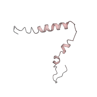 25415_7ssw_Z_v1-0
Late translocation intermediate with EF-G dissociated (Structure VI)