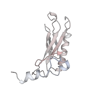 25415_7ssw_a_v1-0
Late translocation intermediate with EF-G dissociated (Structure VI)