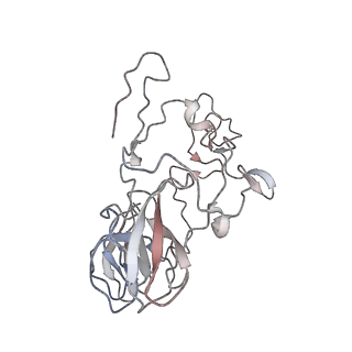 25415_7ssw_b_v1-0
Late translocation intermediate with EF-G dissociated (Structure VI)