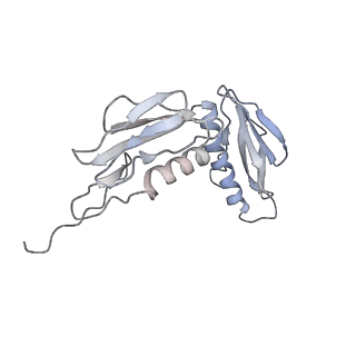 25415_7ssw_f_v1-0
Late translocation intermediate with EF-G dissociated (Structure VI)