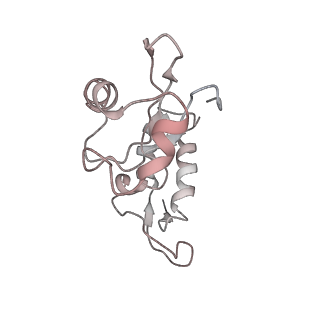 25415_7ssw_i_v1-0
Late translocation intermediate with EF-G dissociated (Structure VI)