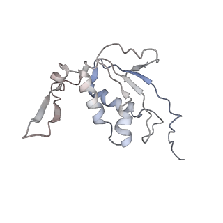 25415_7ssw_j_v1-0
Late translocation intermediate with EF-G dissociated (Structure VI)