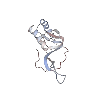 25415_7ssw_m_v1-0
Late translocation intermediate with EF-G dissociated (Structure VI)