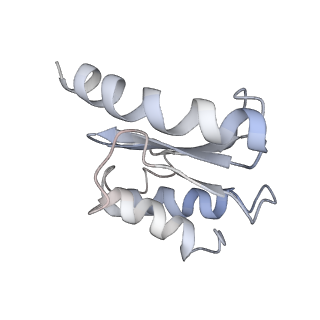 25415_7ssw_o_v1-0
Late translocation intermediate with EF-G dissociated (Structure VI)