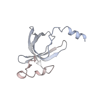25415_7ssw_p_v1-0
Late translocation intermediate with EF-G dissociated (Structure VI)