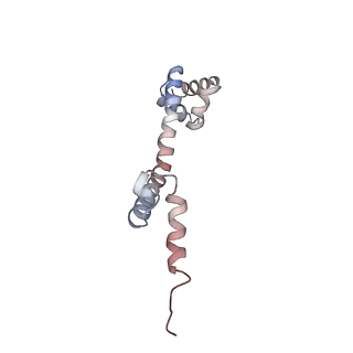25415_7ssw_q_v1-0
Late translocation intermediate with EF-G dissociated (Structure VI)