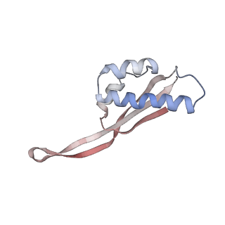 25415_7ssw_s_v1-0
Late translocation intermediate with EF-G dissociated (Structure VI)