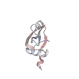 25415_7ssw_t_v1-0
Late translocation intermediate with EF-G dissociated (Structure VI)