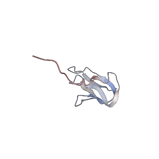 25415_7ssw_w_v1-0
Late translocation intermediate with EF-G dissociated (Structure VI)