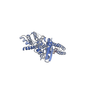 25416_7ssx_A_v1-1
Structure of human Kv1.3