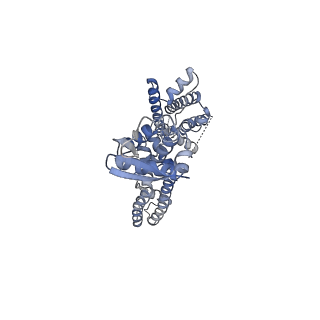 25416_7ssx_B_v1-1
Structure of human Kv1.3