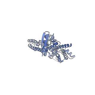 25416_7ssx_C_v1-1
Structure of human Kv1.3