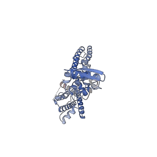 25416_7ssx_D_v1-1
Structure of human Kv1.3
