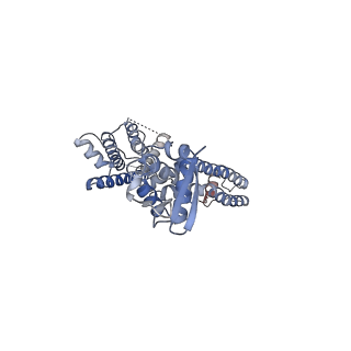25416_7ssy_A_v1-1
Structure of human Kv1.3 (alternate conformation)