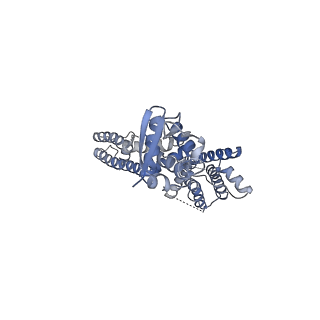 25416_7ssy_C_v1-1
Structure of human Kv1.3 (alternate conformation)