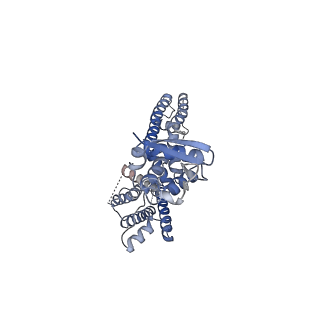 25416_7ssy_D_v1-1
Structure of human Kv1.3 (alternate conformation)