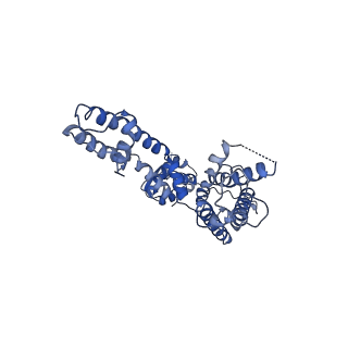 25417_7ssz_B_v1-1
Structure of human Kv1.3 with A0194009G09 nanobodies