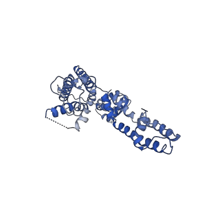25417_7ssz_D_v1-1
Structure of human Kv1.3 with A0194009G09 nanobodies