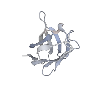 25417_7ssz_F_v1-1
Structure of human Kv1.3 with A0194009G09 nanobodies