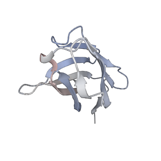 25417_7ssz_G_v1-1
Structure of human Kv1.3 with A0194009G09 nanobodies