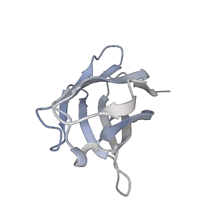 25417_7ssz_H_v1-1
Structure of human Kv1.3 with A0194009G09 nanobodies