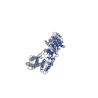 40741_8ss2_A_v1-2
Structure of AMPA receptor GluA2 complex with auxiliary subunits TARP gamma-5 and cornichon-2 bound to competitive antagonist ZK and channel blocker spermidine (closed state)