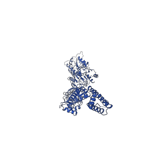 40741_8ss2_B_v1-2
Structure of AMPA receptor GluA2 complex with auxiliary subunits TARP gamma-5 and cornichon-2 bound to competitive antagonist ZK and channel blocker spermidine (closed state)
